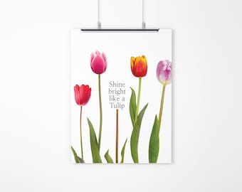 Glans helder als een tulp poster | Direct downloaden | Bloemenkunstprint | Motiverende muurdecoratie | Afdrukbare digitale poster