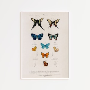 Antiqua Butterfly Art Print INSTANT DOWNLOAD, Vintage Victorian Art Print,  Butterfly Art, Wall Decor, Printable Wall Art, Digital Download