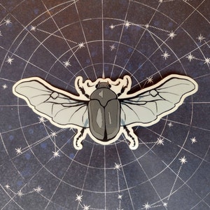 May include: A gray and white beetle with wings spread out. The beetle is on a dark blue background with a white star pattern.