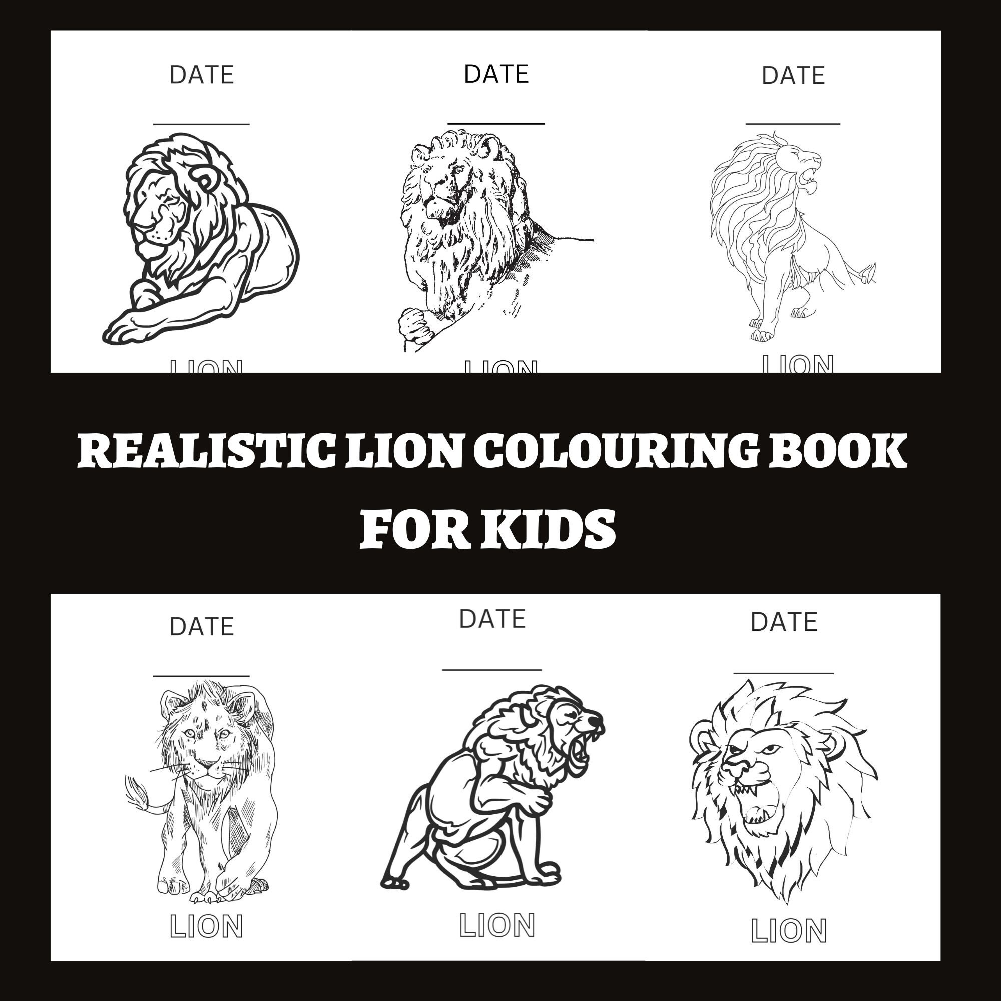 Realistic Lion Colouring Book for Kids/ 30 Pintable Unique Colouring