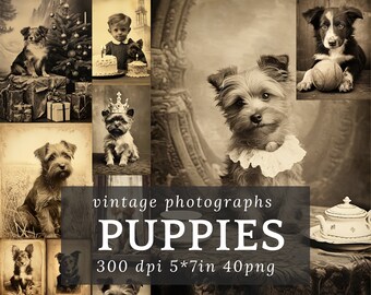 Victorian Old Vintage Dog Photos, Junk Journal Embellishments, 300 DPI Printable Pet Digital Images, Antique Picture Paper Ephemera Supply