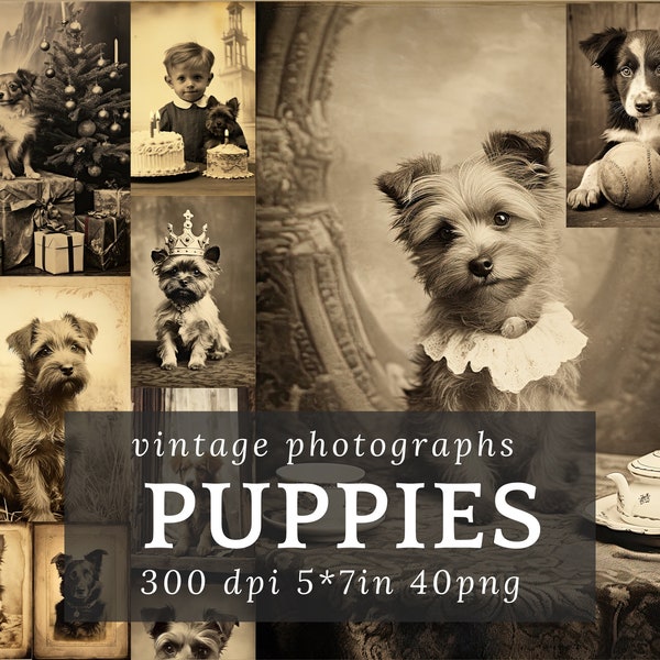 Victorian Old Vintage Dog Photos, Junk Journal Embellishments, 300 DPI Printable Pet Digital Images, Antique Picture Paper Ephemera Supply