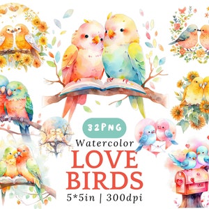 Clipart PNG de pássaro amoroso em aquarela para cartões de dia dos namorados, convites de casamento, arte de parede de berçário, download digital para impressão romântica
