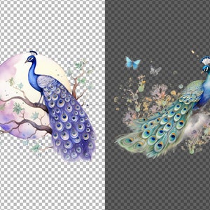 May include: Two watercolor illustrations of peacocks with vibrant blue and green feathers. One peacock is perched on a branch with a purple and pink moon behind it. The other peacock is surrounded by a watercolor background of flowers and butterflies.