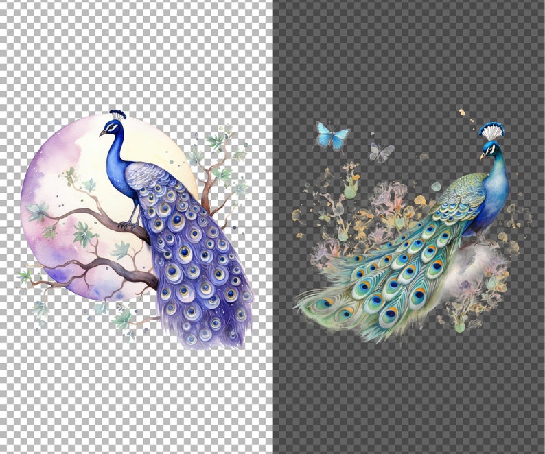 May include: Two watercolor illustrations of peacocks with vibrant blue and green feathers. One peacock is perched on a branch with a purple and pink moon behind it. The other peacock is surrounded by a watercolor background of flowers and butterflies.