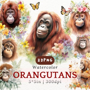 Aquarel orang-oetan PNG-clipart - 23 bloemen jungle apen voor natuurkunst, decor van de kinderkamer, sublimatie, scrapbooking - 5 x 5 in 300 DPI