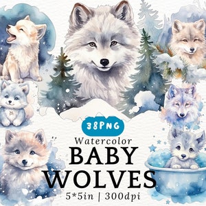 Clipart aquarelle bébé loup potelé - chiot loups de dessin animé mignon Kawaii, bébé loup PNGs fond Transparent, animaux mignons, décoration de chambre d'enfant