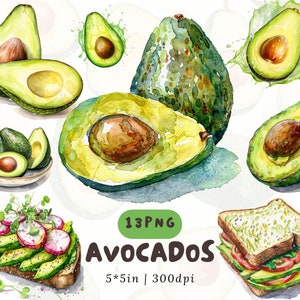 Aquarell Avocado Clipart, Gesundes Essen PNG, Avocado Toast Illustration, Nahtloses Avocado-Muster, Tropische Früchte PNG für Scrapbook, Vegan Kunst