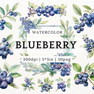 Blueberry Watercolor Clipart, Decorative Frame, Line, Leaf, Fruit, Divider, Wreath, Border, Flower Elements, Seamless Background, Scrapbook