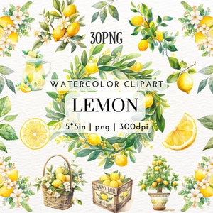 May include: Watercolor clipart set of lemons, flowers, and greenery. The set includes 30 PNG files, each measuring 5 inches by 5 inches at 300 dpi. The set features lemons in various stages of ripeness, from green to yellow, as well as lemon blossoms and leaves. The flowers are white with yellow centers. The set is perfect for adding a touch of summer to your designs.