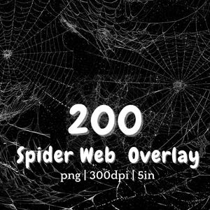 May include: Black and white image featuring multiple spider webs. The text "200 Spider Web Overlay" is displayed in white, along with "png | 300dpi | 5in". The webs have a detailed, realistic appearance against a dark background.