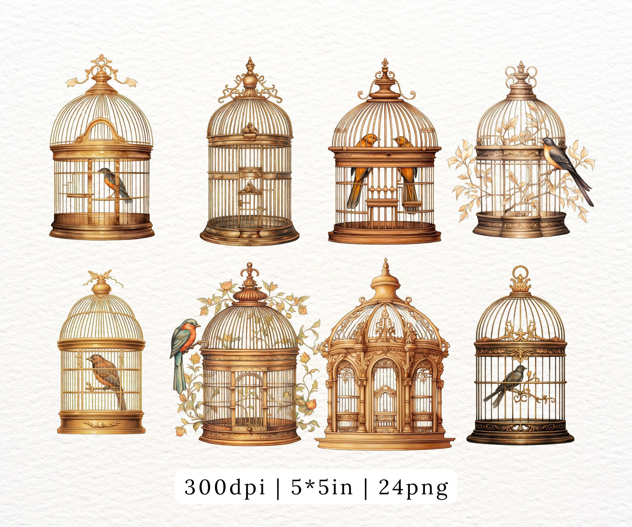 Watercolor Bird Cages Vintage Shabby Antique Metal Bird Cage With Photo Inspiration