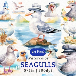 Aquarelle mouette PNG Clipart pour artisanat de plage d&#39;été décoration côtière enfants fête invite océan oiseaux autocollants téléchargement numérique 24 éléments