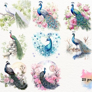 May include: A set of nine watercolor illustrations featuring peacocks in various poses and settings. The peacocks are depicted with vibrant blue, green, and gold feathers, and are surrounded by flowers, leaves, and other natural elements.