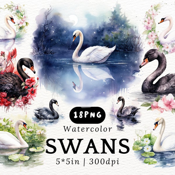 Swans Watercolor Clipart, Cute Elegant Cartoon Black Swans with Flowers, White Swans PNGs Transparent Background, Bird Animals Illustrations