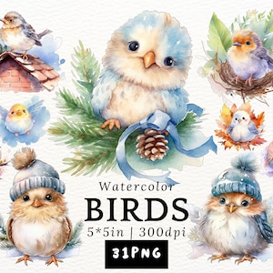 Clipart de pájaros regordetes en acuarela: adorables pájaros kawaii de dibujos animados, pajaritos PNG con fondo transparente, animales adorables, decoración infantil