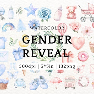 Clipart de revelación de género en acuarela, paquete de imágenes PNG de niño o niña, anuncio de bebé, pegatinas para diario de embarazo, fiesta de baby shower, decoración de guardería