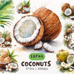 Clipart de coco aquarela PNG - Conjunto de ilustração de frutas tropicais, elementos de coco de verão, 5 x 5 pol. 300 DPI, gráficos de comida da ilha para artesanato
