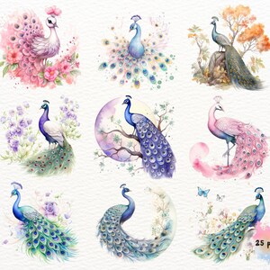 May include: A set of nine watercolor illustrations featuring peacocks with vibrant plumage in various poses. The peacocks are depicted with intricate details, including their feathers, eyes, and beaks. The illustrations are set against a white background and include floral elements.