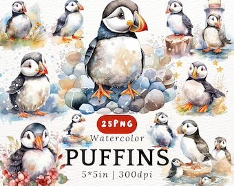 Chubby Puffin Watercolor Clipart - Cute Kawaii Cartoon Puffins, Baby Puffling PNGs Transparent Background, Cute Animals, Nursery Decor