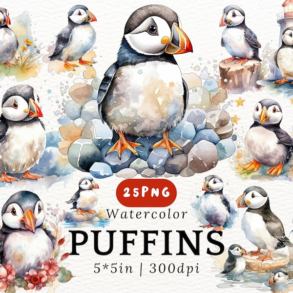 Chubby Puffin Watercolor Clipart - Cute Kawaii Cartoon Puffins, Baby Puffling PNGs Transparent Background, Cute Animals, Nursery Decor