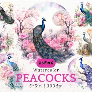 May include: A set of 25 watercolor illustrations of peacocks in various poses, surrounded by pink flowers and foliage. The illustrations are 5 inches by 5 inches and 300 dpi.