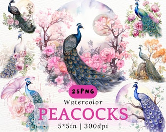 Whimsical Watercolor Peacock PNG Clipart Floral Bird Illustrations Digital Download for Scrapbooking Cards Stickers Wall Art