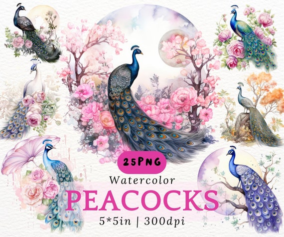 Whimsical Watercolor Peacock PNG Clipart Floral Bird Illustrations Digital Download for Scrapbooking Cards Stickers Wall Art
