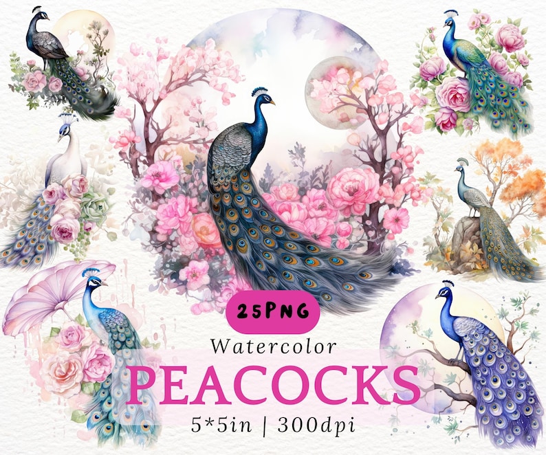 May include: A set of 25 watercolor illustrations of peacocks in various poses, surrounded by pink flowers and foliage. The illustrations are 5 inches by 5 inches and 300 dpi.
