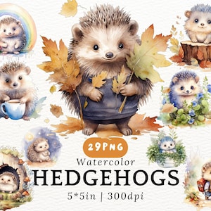 Chubby Hedgehogs Watercolor Clipart - Cute Kawaii Cartoon Hedgehogs, Baby Hedgehogs PNGs Transparent Background, Cute Animals, Nursery Decor