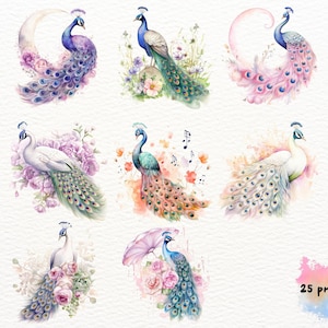 May include: A set of nine watercolor illustrations featuring peacocks with colorful plumage and floral accents. The peacocks are depicted in various poses, including standing, sitting, and spreading their tails. The illustrations are set against a white background.