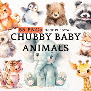 Puede incluir: Un conjunto de 55 ilustraciones de acuarela de animales bebés lindos, que incluyen un león, un pingüino, un oso, un mapache, un búho, un elefante, un tigre, un zorro y una jirafa. Las ilustraciones son de estilo de dibujos animados y son perfectas para usar en libros para niños, tarjetas de felicitación u otros proyectos creativos. 55 PNGs 300DPI | 5*5in CHUBBY BABY ANIMALS