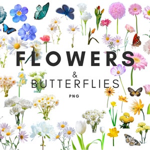 Clipart de flores REAIS, recorte de flores PNG, recorte de borboletas, elemento de colagem, realista, flores PNG, arranjo de flores, adesivos Goodnotes
