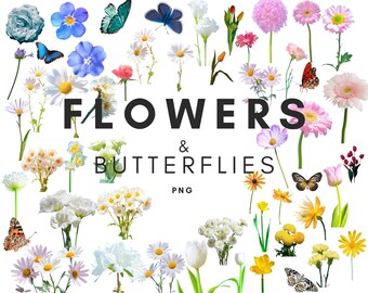 REAL Flowers Clipart, Flower PNG Cutout, Butterflies Cutout, Collage Element, Realistic, PNG flowers, Flower Arrangement, Goodnotes Stickers