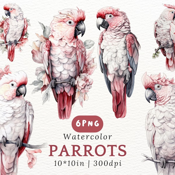 Pink Parrots Watercolor Clipart Set - Exotic Birds with Flowers & Branches, Cockatoo, 10x10in, 300 DPI, Bird Pet Cliparts, Digital Download