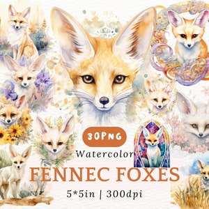 Fantazyjny pakiet clipartów lisa Fennec PNG akwarelowe obrazy małego lisa do dekoracji pokoju dziecięcego i scrapbookingu ze zwierzętami do pobrania cyfrowego