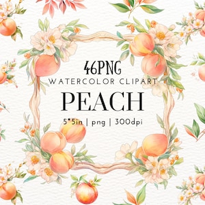 Peach Watercolor Clipart, Decorative Frame, Line, Leaf, Fruit, Divider, Wreath, Border, flower,Design Element,Seamless Background, Scrapbook