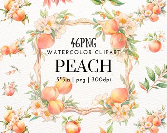 Peach Watercolor Clipart, Decorative Frame, Line, Leaf, Fruit, Divider, Wreath, Border, flower,Design Element,Seamless Background, Scrapbook