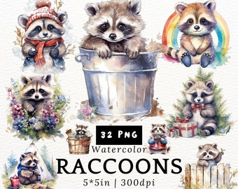 Chubby Raccoon Watercolor Clipart - Cute Kawaii Cartoon Raccoons, Baby Raccoons PNGs Transparent Background, Cute Animals, Nursery Decor