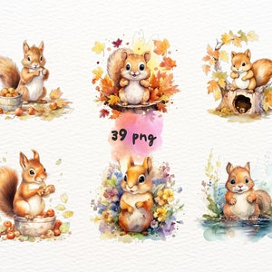 Chubby Squirrels Watercolor Clipart Cute Kawaii Cartoon Squirrels, Baby ...