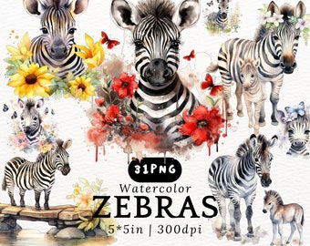 Aquarell-Zebra-PNG-Cliparts mit Blumen, niedliche Safari-Illustrationen für Karten und Bastelarbeiten