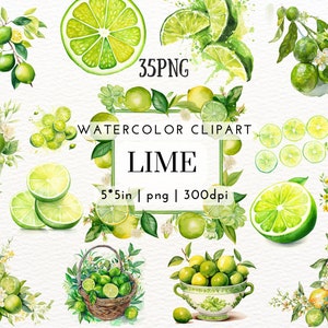 Watercolor Lime Clipart Set - Citrus Fruit PNG with Floral Wreaths, Leaves, Borders,Frames-Green Lemon Clipart for Cards,Labels,Scrapbooking