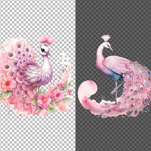 May include: A watercolor painting of two pink peacocks with blue accents. One peacock is standing with its tail feathers spread out, while the other is sitting with its tail feathers folded. Both peacocks are surrounded by pink flowers.