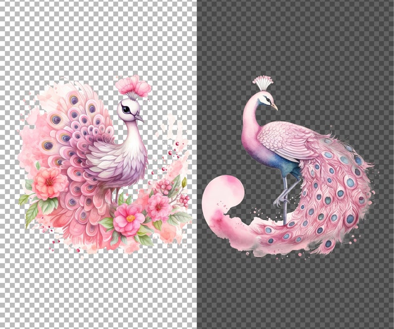 May include: A watercolor painting of two pink peacocks with blue accents. One peacock is standing with its tail feathers spread out, while the other is sitting with its tail feathers folded. Both peacocks are surrounded by pink flowers.