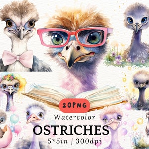 Avestruz aquarela PNG Clipart, Avestruzes fofos, alegres e florais, Ilustrações de animais em tons pastel para decoração de quarto infantil, Cartões, Adesivo 5 x 5 pol. 300DPI