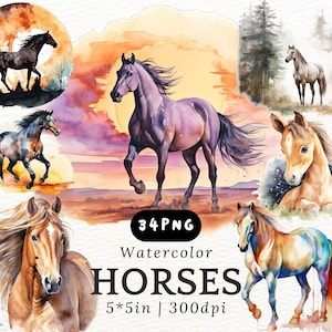 Watercolor Horse Clipart - Wild Mustang PNG Bundle 300DPI, Equestrian Boho Horse Art, Western Horse PNG for DIY Crafts, Journals & Prints