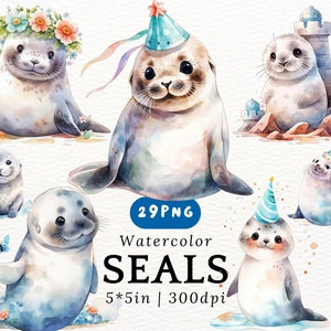 Clipart de acuarela de focas regordetas: adorables pinnípedos kawaii, crías de leones marinos PNG con fondo transparente, animales adorables, decoración infantil