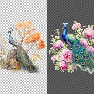 May include: A watercolor painting of a blue and green peacock with a long tail standing on a rock surrounded by orange and yellow leaves. The peacock is surrounded by pink flowers.