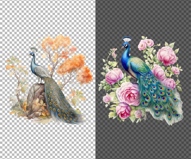May include: A watercolor painting of a blue and green peacock with a long tail standing on a rock surrounded by orange and yellow leaves. The peacock is surrounded by pink flowers.
