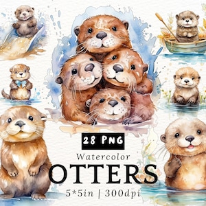Mollige Otter Aquarell Clipart - Niedliche Kawaii Cartoon Otter, Baby Otter PNGs auf transparentem Hintergrund, süße Tiere, Kinderzimmerdeko
